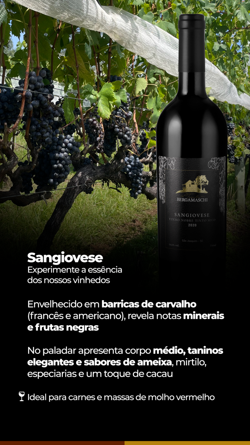 Vinhos-Tenuta---Mobile01